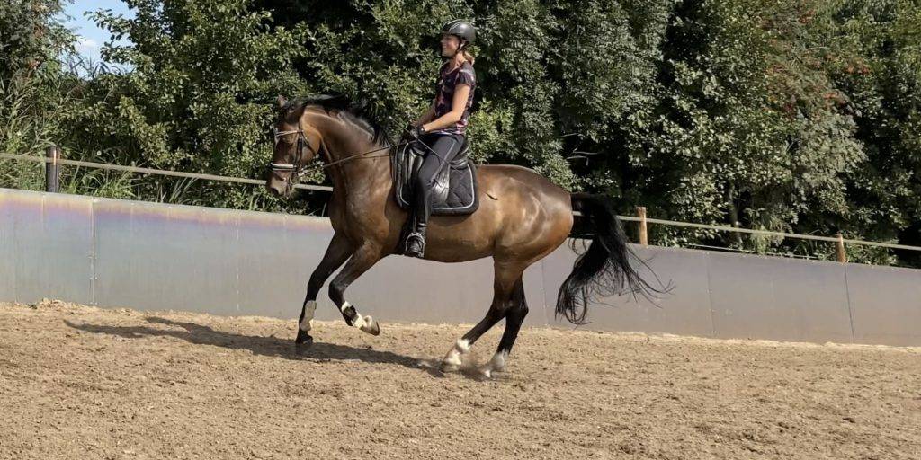 Financieel VA Annemieke vertelt in dit interview meer over haar werkzaamheden.